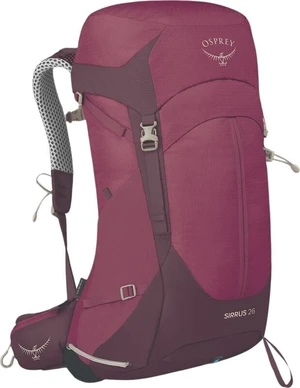 Osprey Sirrus 36 Elderberry Purple/Chiru Tan Outdoor-Rucksack