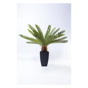 KARE DESIGN Dekoratívna rastlina Cycas Tree 78 cm