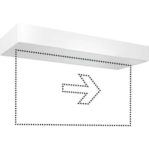 ESYLUX EN10077388 LED núdzové osvetlenie únikových ciest  montáž na strop vpravo, vľavo