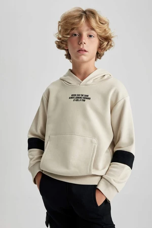 DEFACTO Oversize Fit Hooded Sweatshirt