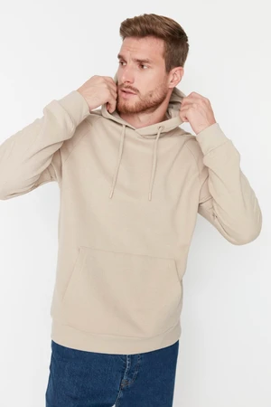 Trendyol Beige Regular/Normal Cut Hooded Fleece/Warm Sweatshirt