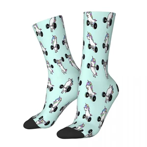 Unicorn Animal LIFTING Socks Male Mens Women Summer Stockings Printed