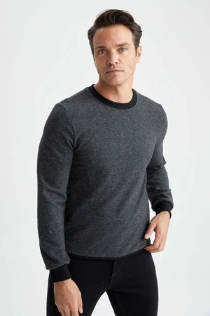 DEFACTO Regular Fit Sweatshirt