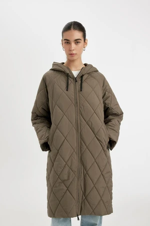 DEFACTO Relax Fit Hooded Thin Parka