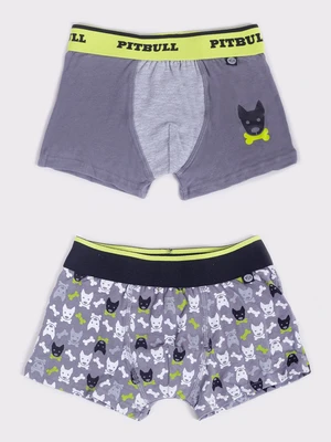 Yoclub Kids's 2Pack Boy's Boxer Briefs BMB-0018C-AA30