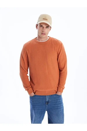 LC Waikiki Crew Neck Long Sleeve Men's Knitwear Sweater