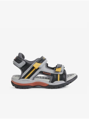 Black-gray boys' sandals Geox Borealis