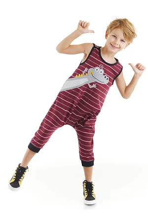 Denokids Funny Crocodile Boys Cotton Claret Red Overalls