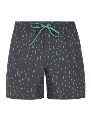 Men's beach shorts Protest PRTGROM