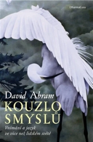 Kouzlo smyslů - David Abram