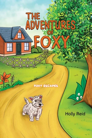 The Adventures of Foxy