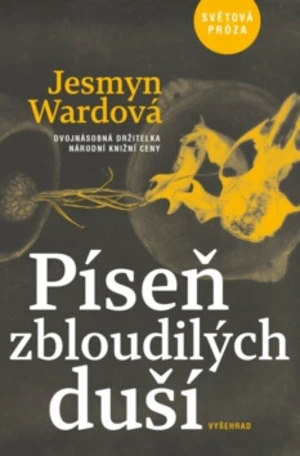 Píseň zbloudilých duší - Jesmyn Wardová