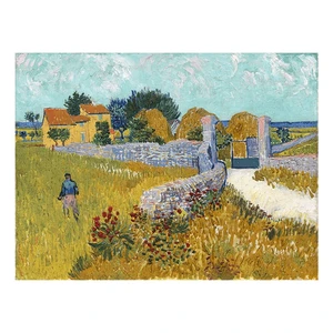 Reprodukcia obrazu Vincenta van Gogha - Farmhouso in Provnce, 40  ×  30 cm