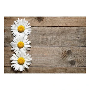 Vinylová predložka Daisy, 52 × 75 cm