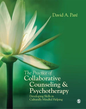 The Practice of Collaborative Counseling and Psychotherapy