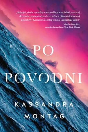 Po povodni - Kassandra Montag