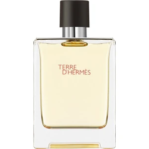 HERMÈS Terre d’Hermès toaletná voda pre mužov 100 ml