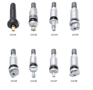 Ventily TPMS, různé druhy - Ferdus Varianta: TPMS 7. hliníkový