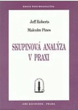 Skupinová analýza v praxi - Malcolm Pines, Jeff Roberts