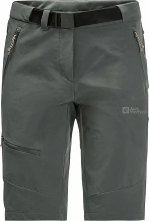 Jack Wolfskin Ziegspitz Shorts W Slate Green S-M Pantaloncini