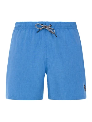 Men's beach shorts Protest DAVEY