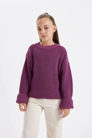 DEFACTO Girl's Purple Standard Fit Crew Neck Basic Plain Knitwear Sweater