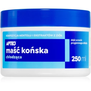 Apteo Konská masť s chladiacim účinkom gél s chladivým účinkom 250 ml