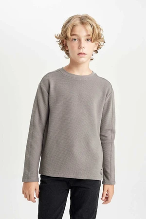 DEFACTO Boy Regular Fit Crew Neck Long Sleeve Basic Plain T-Shirt