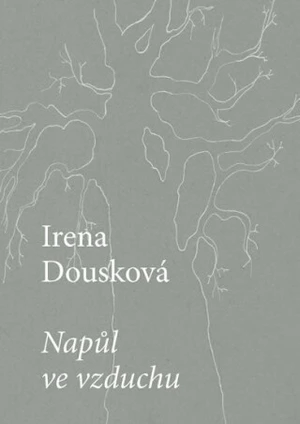 Napůl ve vzduchu - Irena Dousková