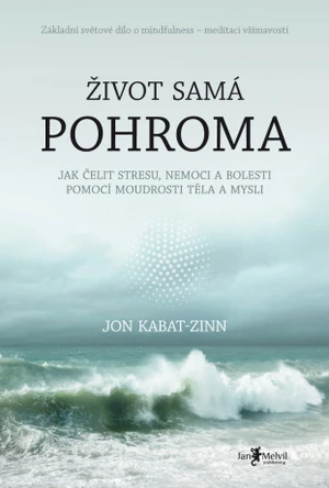 Život samá pohroma - Jon Kabat-Zinn - e-kniha