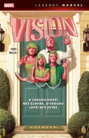 Vision - Tom King