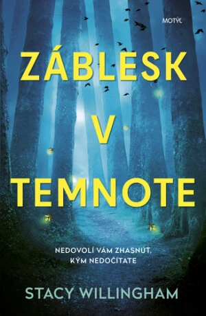 Záblesk v temnote - Stacy Willingham