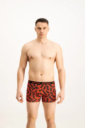 Men's boxers Batman 1P - Frogies