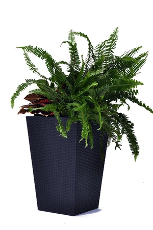 Květináč RATTAN PLANTER 53x53x73 cm