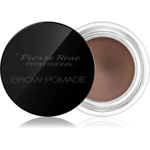 Pierre René Eyes Eyebrow pomáda na obočí odstín 01 Light Brown 4 g