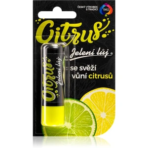 Regina Citrus jelení lůj citrus 4.5 g