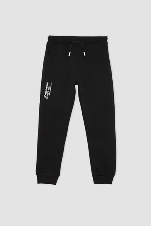 DEFACTO Regular Fit Pants