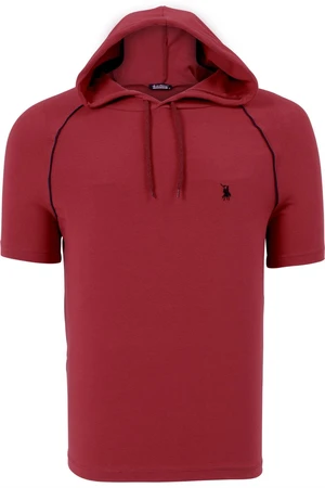 T8570 DEWBERRY HOODIE MEN'S T-SHIRT-PLAIN BURGUNDY