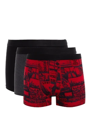 DEFACTO Regular Fit 3-pack Boxer