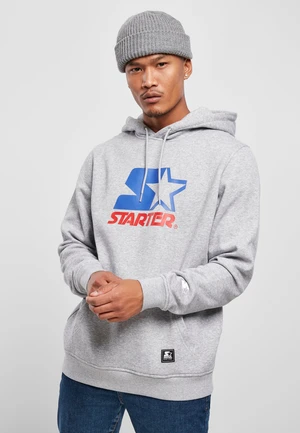 Starter Two Color Logo Hoody h.Gray