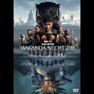 Různí interpreti – Black Panther: Wakanda nechť žije DVD