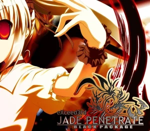 eXceed 3rd - Jade Penetrate Black Package Steam CD Key