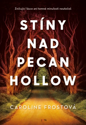 Stíny nad Pecan Hollow - Caroline Frostová - e-kniha