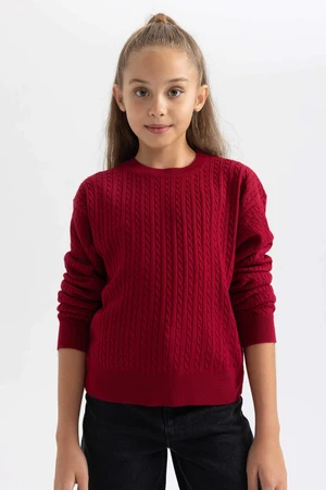 DEFACTO Girl Regular Fit Crew Neck Pullover