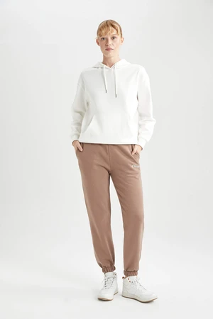 DEFACTO Standard Fit With Pockets Thick Sweatshirt Fabric Pants