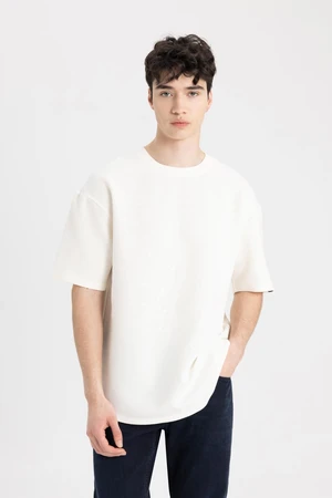 DEFACTO Comfort Fit Crew Neck Short Sleeve Basic T-Shirt