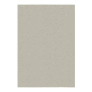 Kremowy dywan 80x150 cm – Flair Rugs