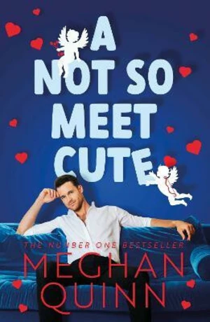 A Not So Meet Cute - Meghan Quinn