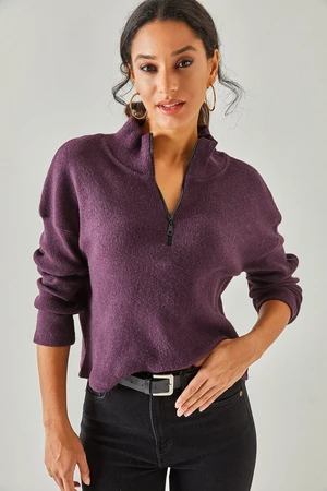 Olalook Women's Plum Zipper Stand-Up Collar Rack Sweater