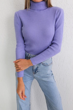 BİKELİFE Women's Lilac Lycra Flexible Neck Knitwear Sweater